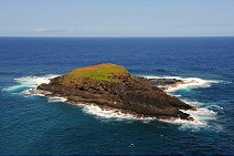 Moku'ae'ae Island - from Kilauea Point